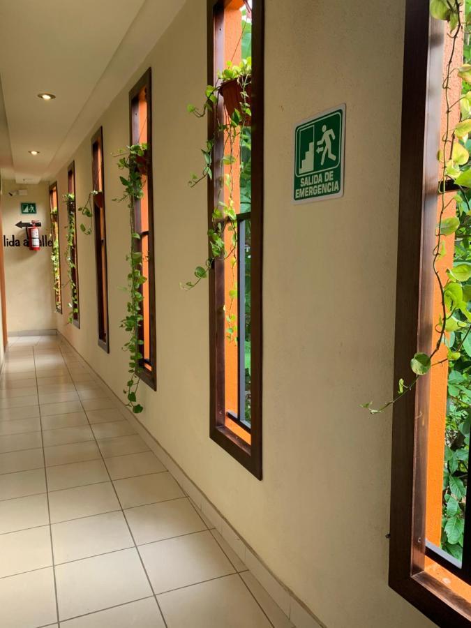 Hotel Cafenaranja Ксилитла Екстериор снимка